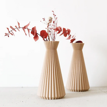 Load image into Gallery viewer, Origami Vase - Dry flowers