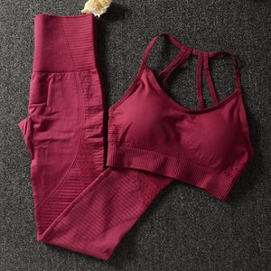 2 Piece Set Yoga Set