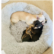 Load image into Gallery viewer, VIP Dog Long Plush Beds