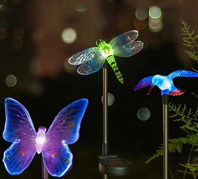 LED Solar Garden Lights